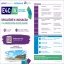 Education 4 Career IV.